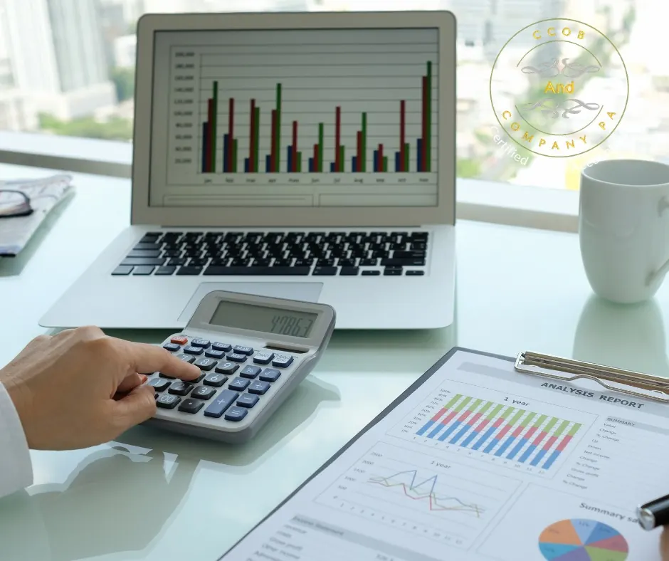Financial Analysis Report