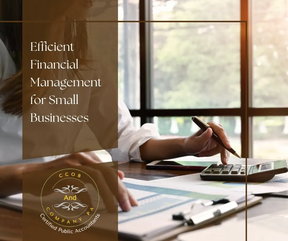 Efficient Financial Management for Small Businesses