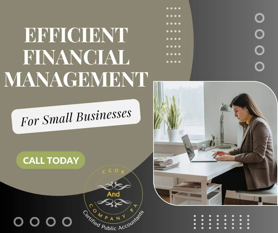 Efficient Financial Management for Small Businesses